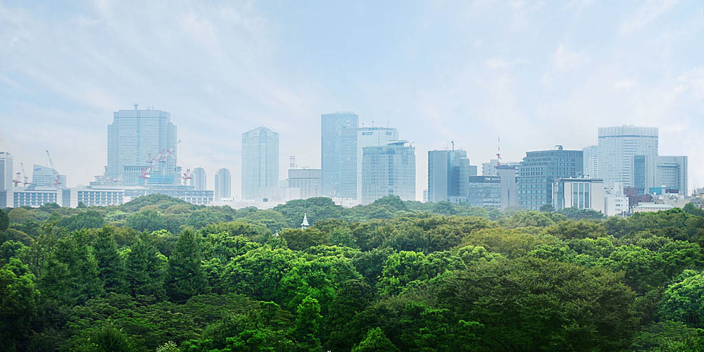 绿色城市.jpg